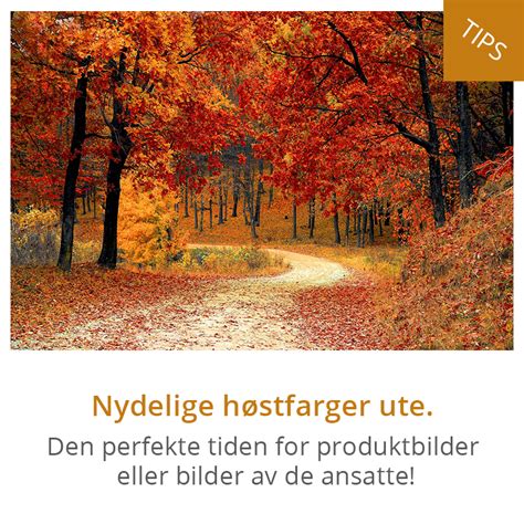 SENSE Norge .
